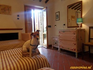 woodcutter house 3